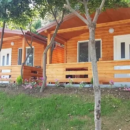 Üdülőpark Plazhi Gjeneralit - Small - - - - *