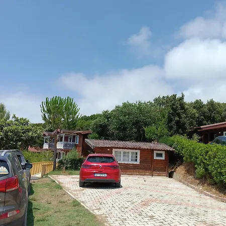 Plazhi Gjeneralit - Small - - - - * Kavaja