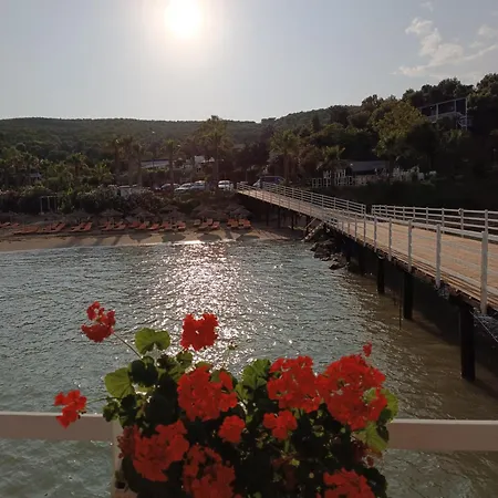 Üdülőpark Plazhi Gjeneralit - Small - - - - *