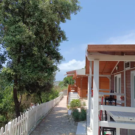 Plazhi Gjeneralit - Small - - - - Kavaja