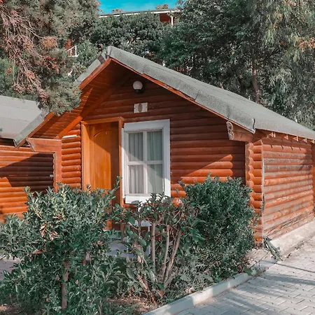 Plazhi Gjeneralit - Small - - - - * Kavaja