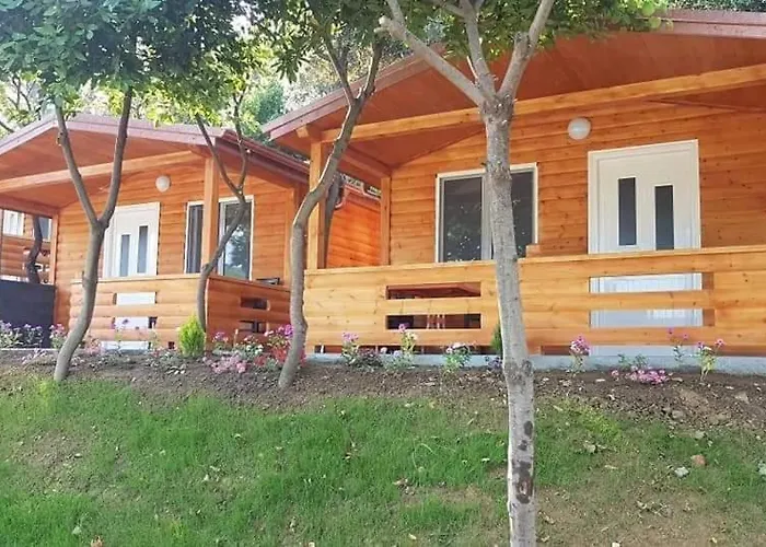 Tatil parkı Plazhi Gjeneralit - Small - - - - *