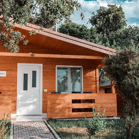 Plazhi Gjeneralit - Small - - - - * Kavaje