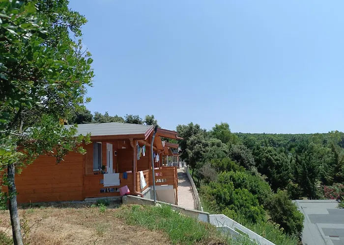 Plazhi Gjeneralit - Small - - - - Кавая
